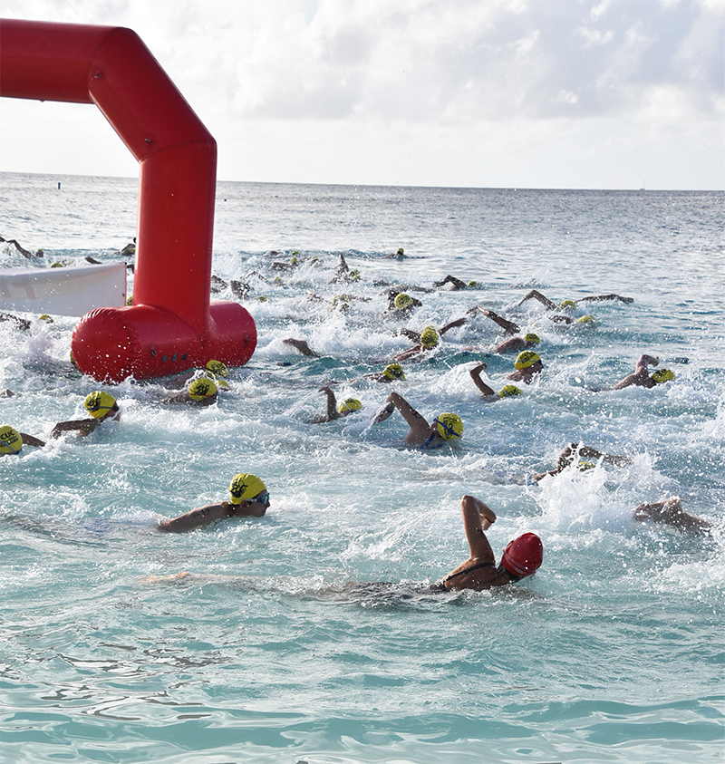 CUC 36th Annual 800m / 400m Sea Swim